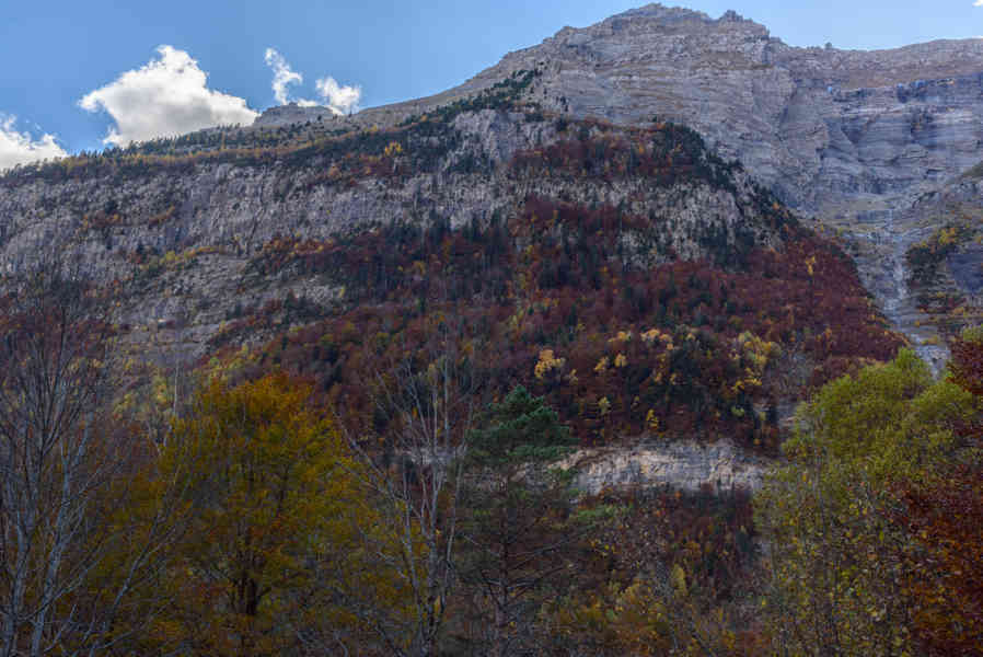 Huesca - parque nacional de Ordesa y Monte Perdido - valle de Pineta 35.jpg